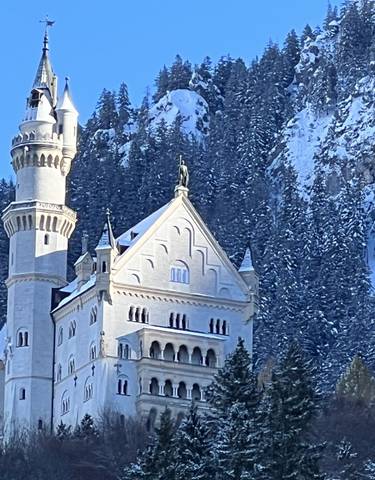 Neuschwanstein Castle surrounded by snow-covered trees.