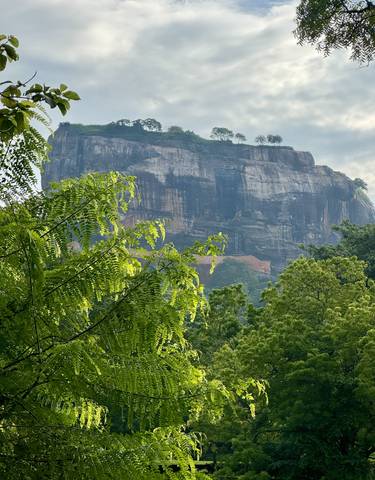 View of Sigiriya Rock surrounded by trees.