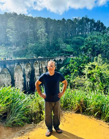 Person posing in front of a large stone bridge in a lush environment.