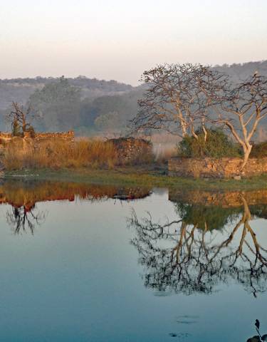 Serene landscape with ruins and tree reflections on water.