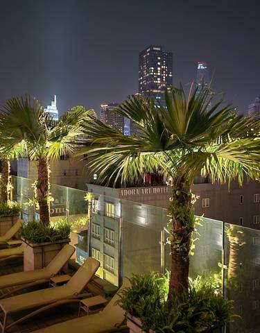 Cityscape view from a rooftop at night with illuminated palm trees.