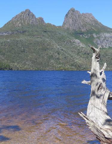 Mountain and lake view with a tree stump in the foreground.