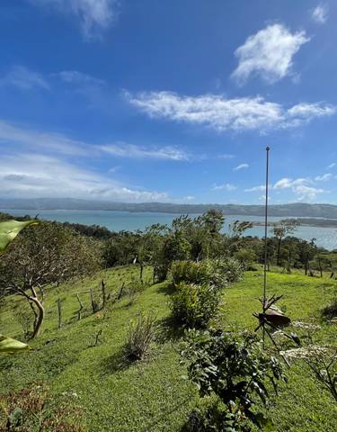 Scenic view of a lake with surrounding greenery.