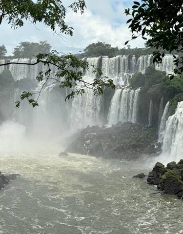 Waterfalls surrounded by lush forest