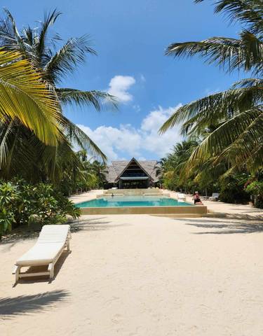 Tropical beach resort with palm trees and a pool.