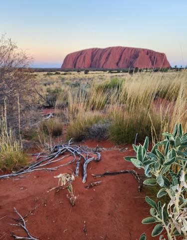 Uluru (Ayers Rock) in the distance with red desert foreground.