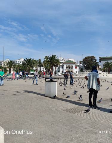 Crowded square with people and pigeons.