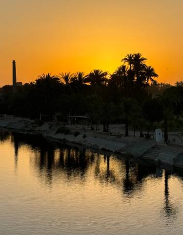 Sunset over a river lined with palm trees and boats.