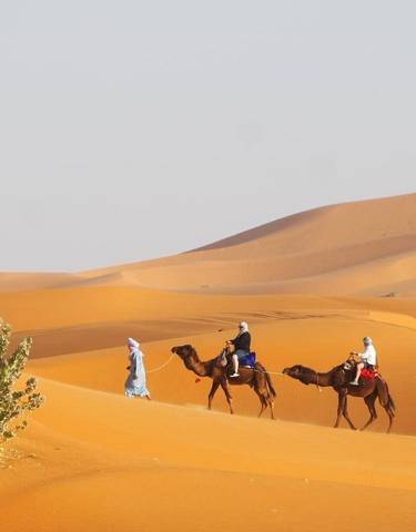 Camel caravan traveling through sand dunes.