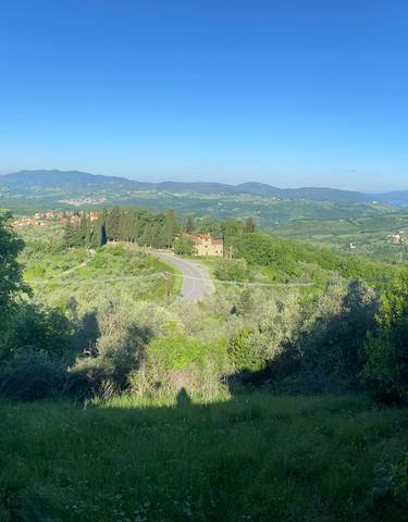 Panoramic countryside view with cypress trees.