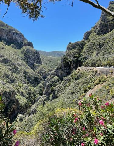 Dramatic mountain landscape with a rocky gorge.