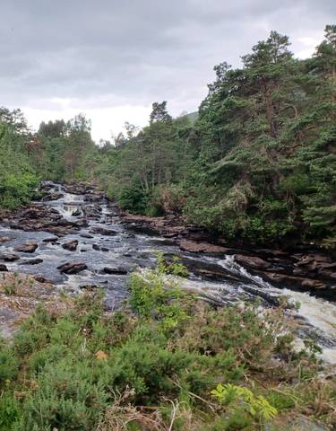 River flowing through rocky forest landscape.