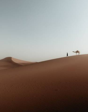 Person with a camel on the sand dunes of the desert.