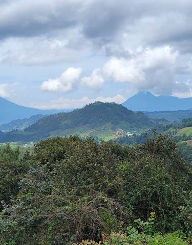 Hilly landscape with dense forest and distant mountains.