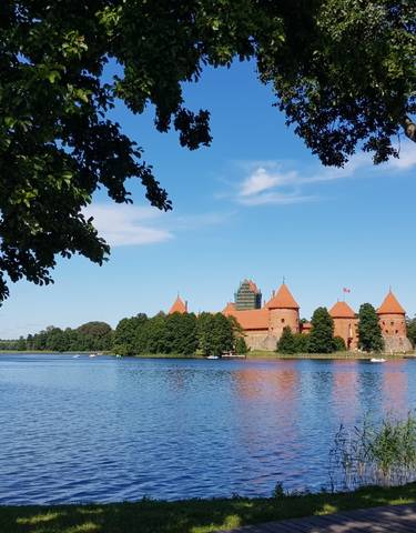 Lake view with a castle surrounded by trees and framed by two trees in the foreground.