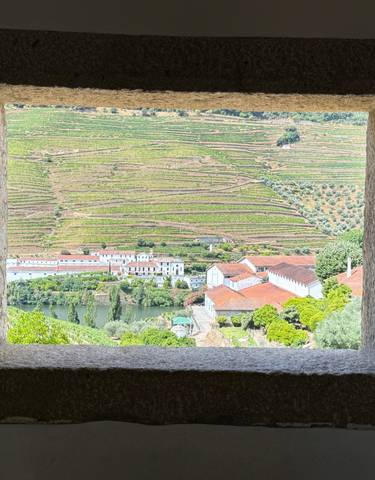 View of terraced vineyards through a stone window.