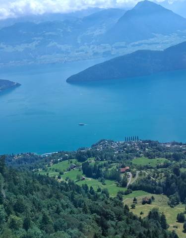 Scenic view of a lake surrounded by mountains and forests from above.