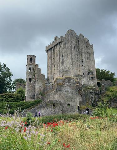 Blarney Castle with its impressive stone architecture amidst greenery.