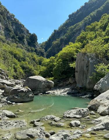 Natural pool surrounded by greenery and rocks.