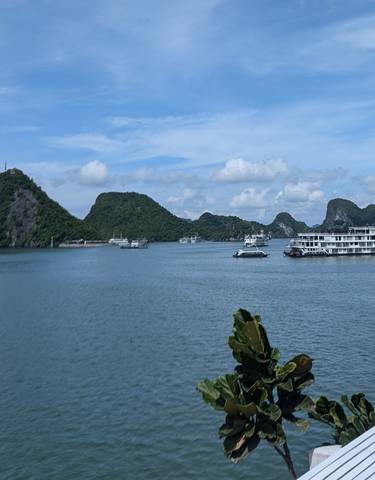 Boats in a bay with limestone cliffs.