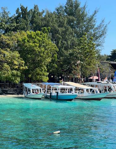 Small boats docked on crystal-clear waters near a lush, green shoreline.