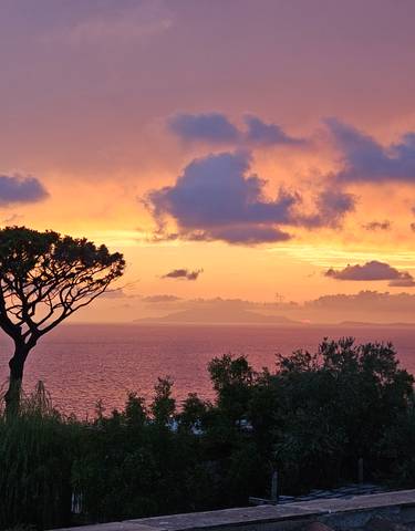 Sunset view over the sea with a tree silhouette.