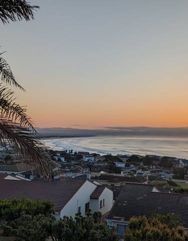 A coastal view at sunset with a palm tree silhouette and ocean waves.