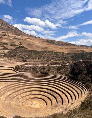 Agricultural terraces on a hillside in a rural area.