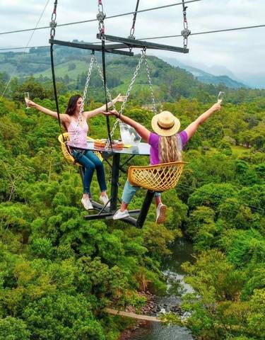 Two women enjoying a swing over a lush green landscape.