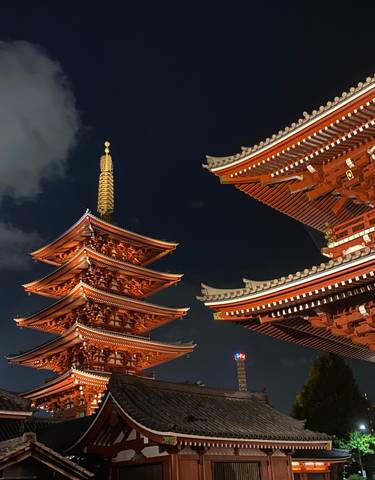 Illuminated pagoda towers at night.
