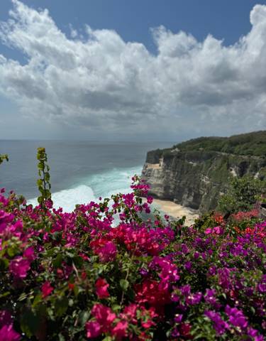 Beautiful ocean view from a cliff with vibrant flowers in the foreground.