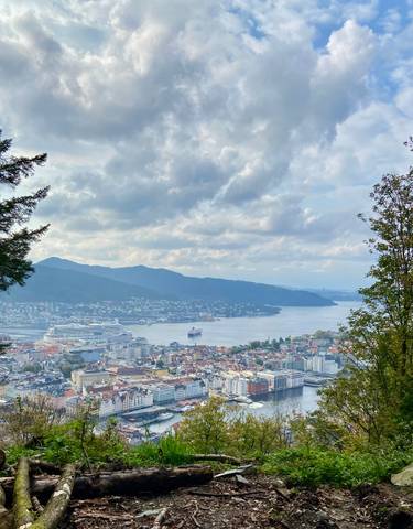 Overlooking a city and harbor with surrounding mountains.