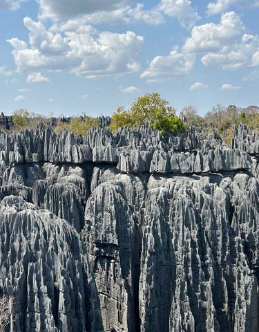 Stunning landscape of the Tsingy de Bemaraha rock formations against the sky.