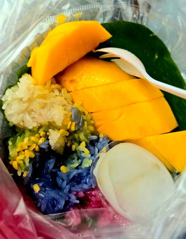 Close-up of mango and sticky rice dessert.