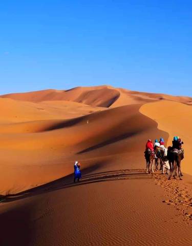 Caravan of camels crossing sand dunes