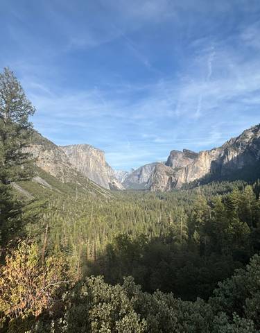 Wide view of Yosemite Valley with mountains and forests.