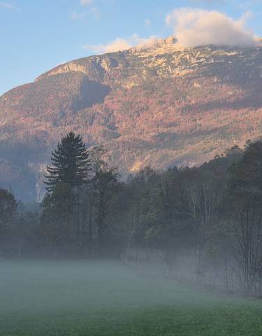 Mountain view with trees and low-lying mist.