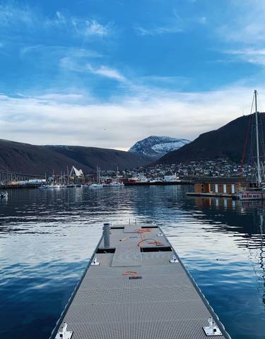 Harbor with boats and snowy mountains in the background.