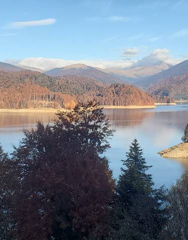 Scenic view of a lake surrounded by forest and mountains.