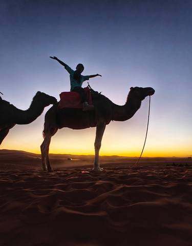 Silhouette of a person on a camel against a sunset.