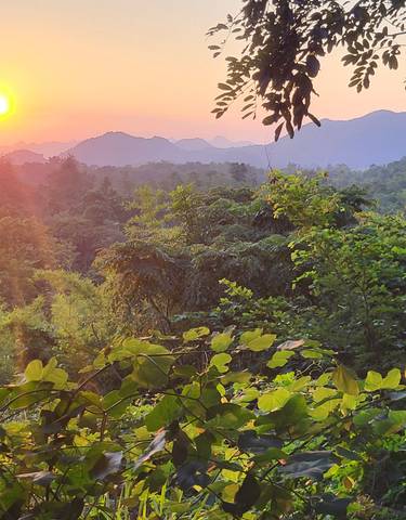 Scenic view of mountains and forest at sunset.