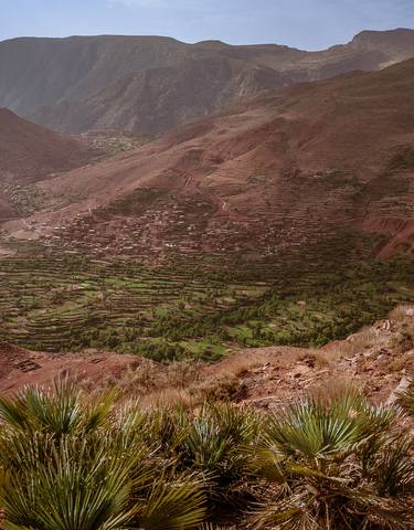 Terraced fields in a rocky valley.