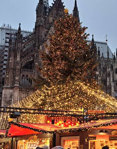 Large decorated Christmas tree in front of a cathedral.