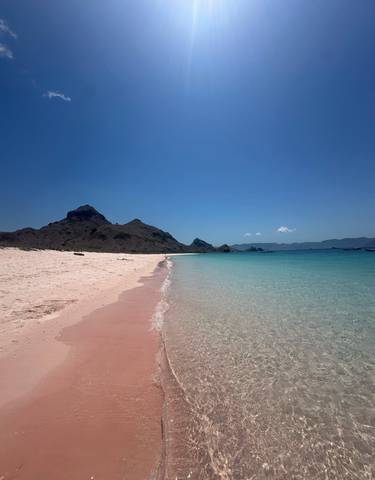 Pink sandy beach with turquoise sea.