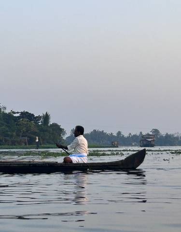 Man paddling a canoe on a calm river with palm trees.
