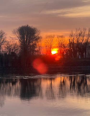 Sunset over a river with silhouetted trees.