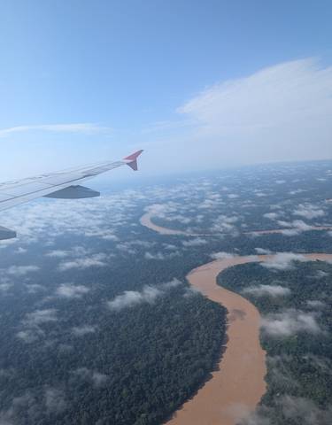 Aerial view of a winding river through lush forest.