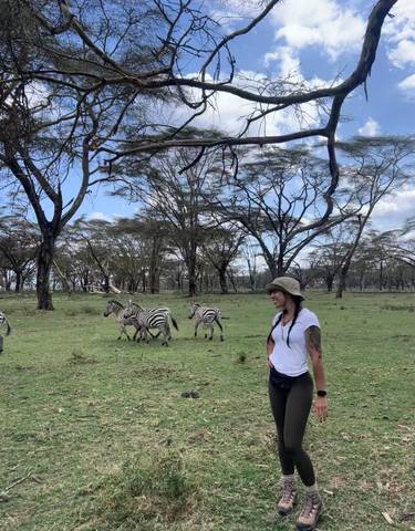 Zebras grazing near a woman in a safari setting.