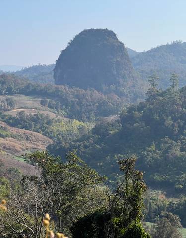 View of lush green mountain landscape.