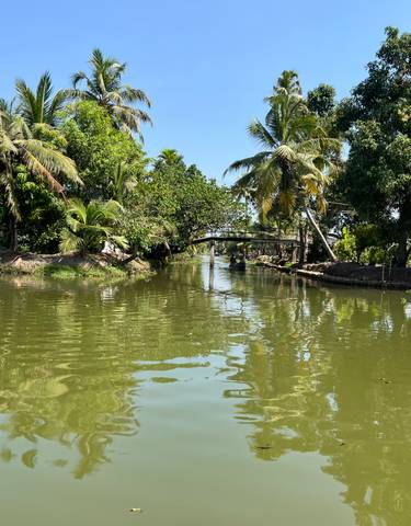 Peaceful canal surrounded by lush greenery and trees.